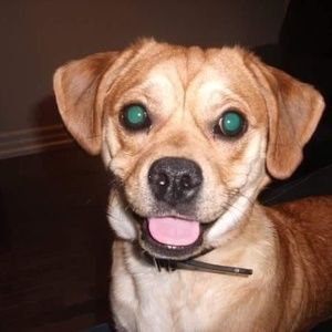 Meet your Posher, Colin